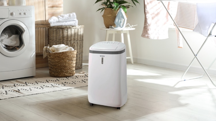 20210114_dehumidifier_750x422.jpg