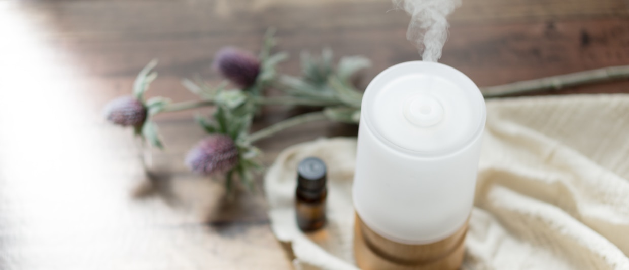 20210510_aroma_1240x531.jpg