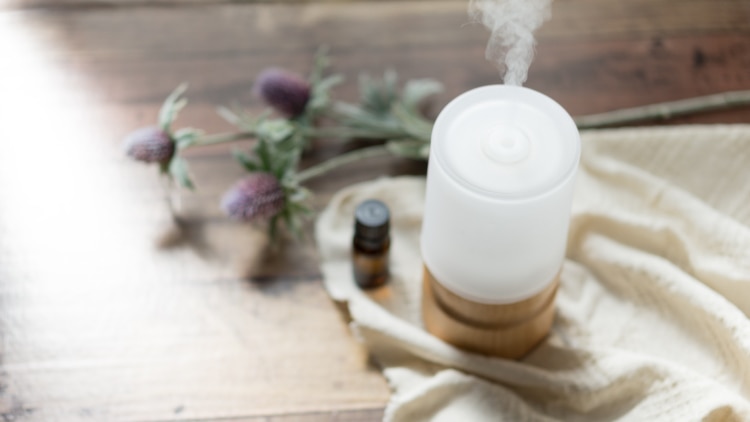 20210510_aroma_750x422.jpg