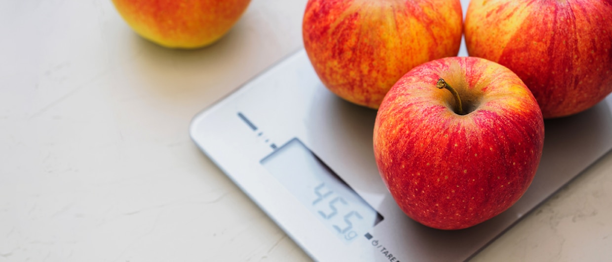 20210601_kitchen scale_1240x531.jpg