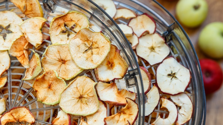 20210709_food dryer_750x422.jpg