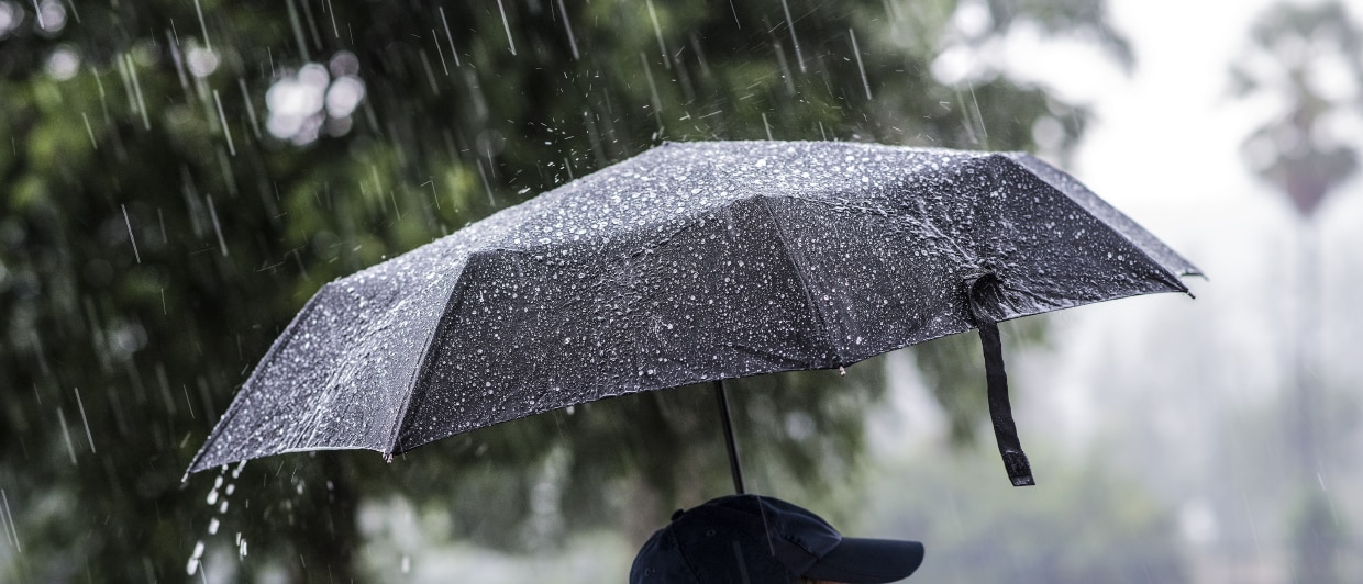 20210716_umbrella_1240x531.jpg