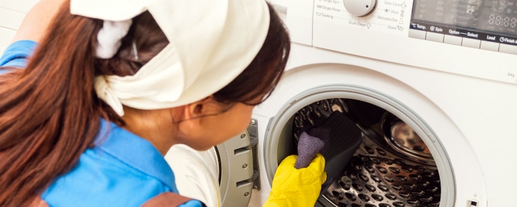 202410_buyingguide_Washer-Cleaning_750x300.jpg