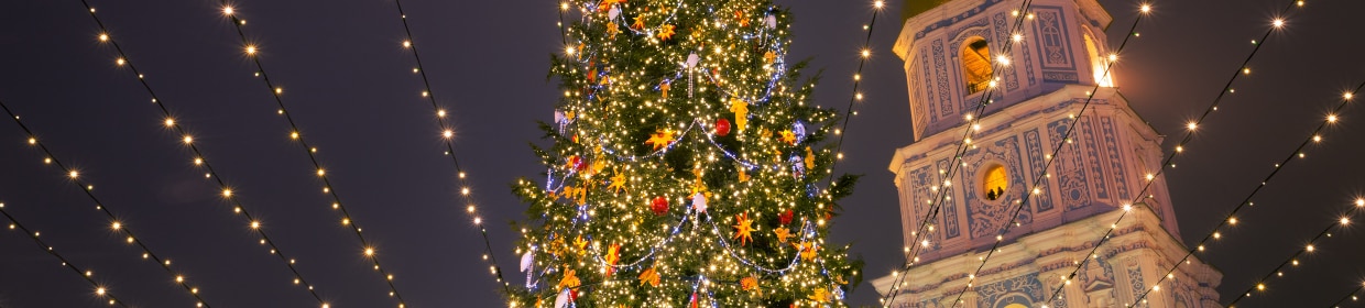 202412_buyingguide_xmas_1240x280.jpg