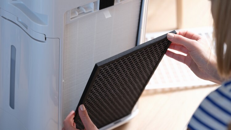 202503_buyingguide_Air-Purifier-Cleaning_750x422.jpg