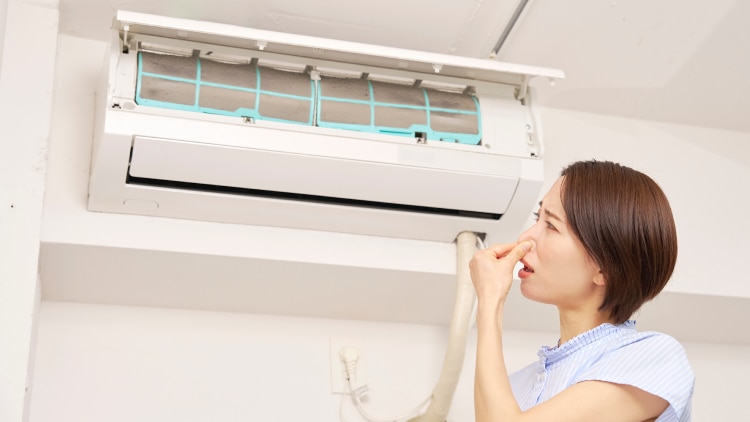 202506_buyingguide_air-con-smell_750x422.jpg