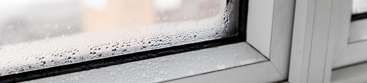 202507_buyingguide_window-leakage-during-rain_1240x280.jpg