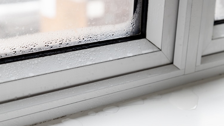 202507_buyingguide_window-leakage-during-rain_750x422.jpg