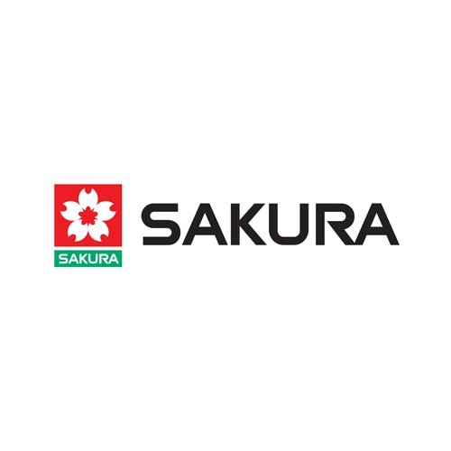 Sakura-500px