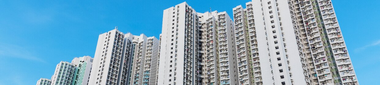 cropped-1240x280 (3).png