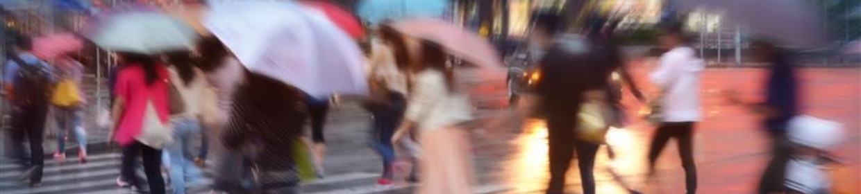 cropped-1240x280 (7).png