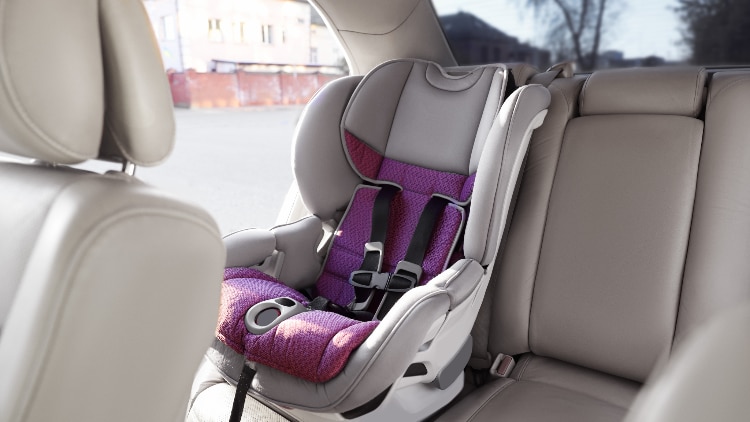 cropped-750x422 (3).png