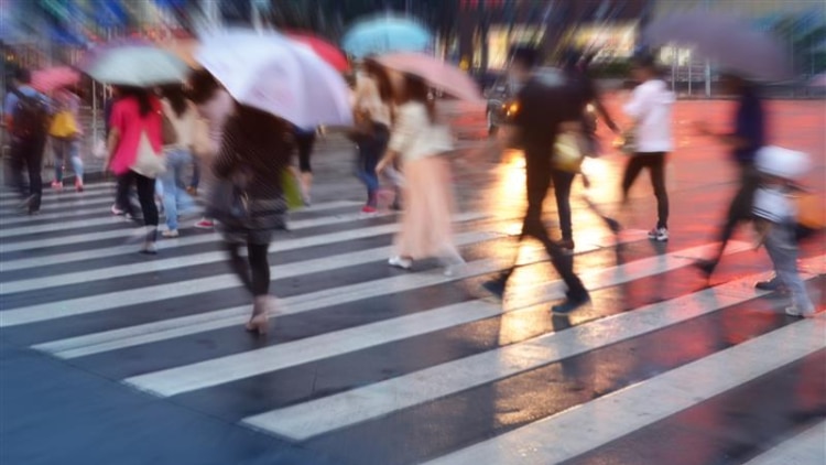 cropped-750x422 (5).png