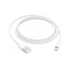 APPLE Lightning 至 USB 连接线 - 1米 (2024)